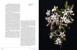 Alberi — Libro - 3