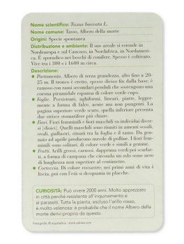 Alberi — Libro - 9