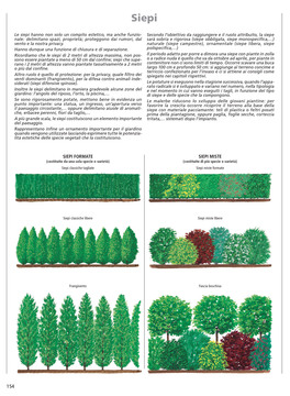 Alberi & Arbusti — Libro - 4