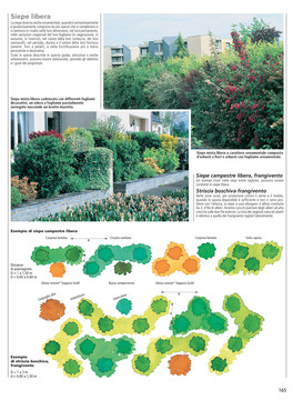 Alberi & Arbusti — Libro - 5
