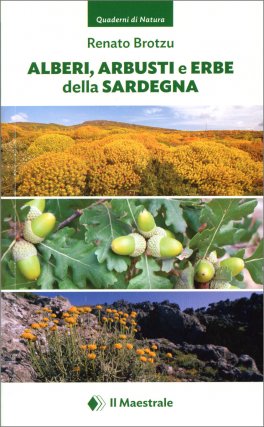 Alberi, Arbusti e Erbe della Sardegna — Libro - 1