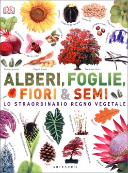 Alberi, Foglie, Fiori & Semi — Libro - 1