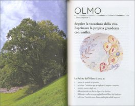 Alberi Luminosi — Libro - 3