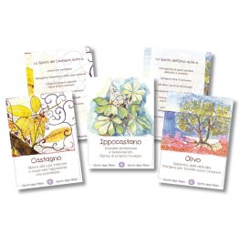 Alberi Luminosi — Libro - 4