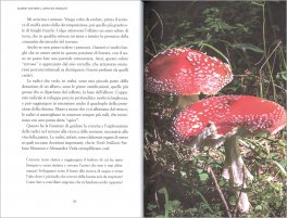 Alberi Sapienti, Antiche Foreste — Libro - 3