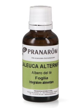 Albero del Tè - Olio Essenziale Bio - 2