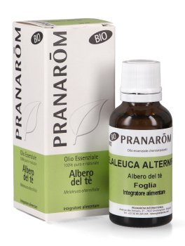 Albero del Tè - Olio Essenziale Bio - 1