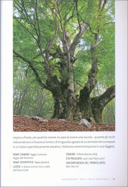 Alberodonti d’Italia — Libro - 3