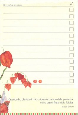 Alchechengi - Flowery Notes — Diari e Journaling - 3