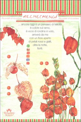 Alchechengi - Flowery Notes — Diari e Journaling - 1
