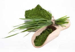 Alga Chlorella in Polvere Bio - 3