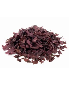 Alga Dulse Disidratata in Fiocchi Bio - 3