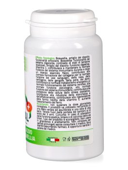 Algohyal+ Capsule - 2