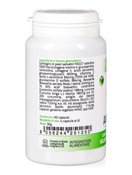 Algohyal+ Capsule - 3