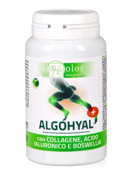 Algohyal+ Capsule - 1