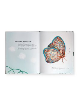 Ali di Lana — Libro - 3