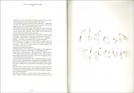 Alice nel Paese delle Meraviglie — Libro - 4