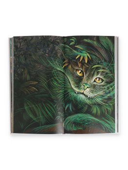 Alice nel Paese delle Meraviglie — Libro - 2