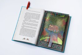 Alice nel Paese delle Meraviglie & Al di Là dello Specchio - Edizione Deluxe — Libro - 12