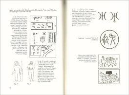 Alieni Verso il Contatto — Libro - 3