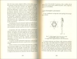 Alimentazione Bioenergetica — Libro - 3