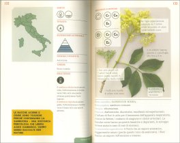 Alla Ricerca della Natura Selvatica — Libro - 3