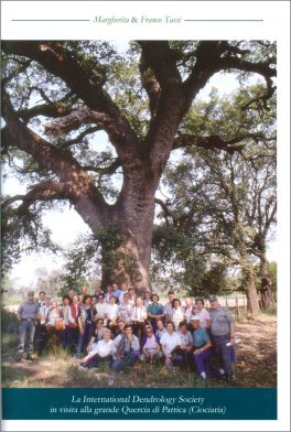 Alla Scoperta dei Patriarchi Arborei — Libro - 3