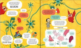 Alla Scoperta del Cervello — Libro - 3