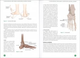 Allenamento Articolare Funzionale — Libro - 3