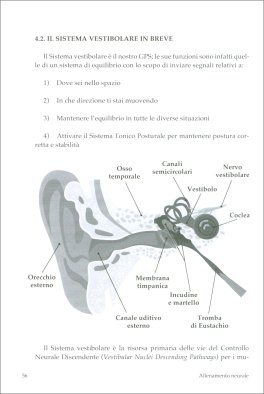 Allenamento Neurale — Libro - 4