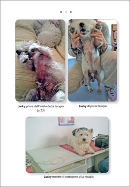 Allergie nei Cani e nei Gatti — Libro - 3