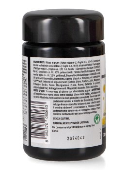 Allergilen - 3