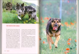 Almanacco del Cane e del Gatto — Libro - 3