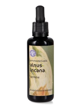 Alnus Incana - Gemmoderivato Floripotenziato - Gemme - 1