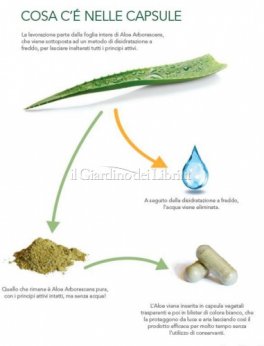 Aloe Arborescens - Integratore in Capsule - 2