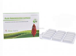 Aloe Arborescens - Integratore in Capsule - 4