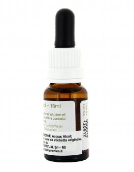 Alpine Mint Bush - Fiori australiani - 15 ml - 2