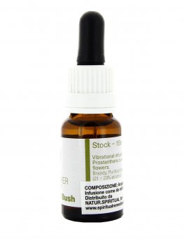 Alpine Mint Bush - Fiori australiani - 15 ml - 3