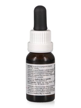 Alpine Mint Bush - Essenza Floreale Australiana Singola - 2