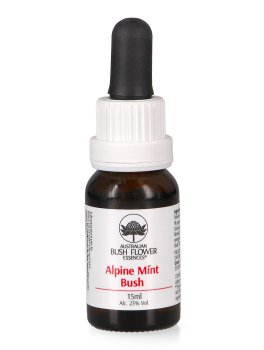 Alpine Mint Bush - Essenza Floreale Australiana Singola - 1