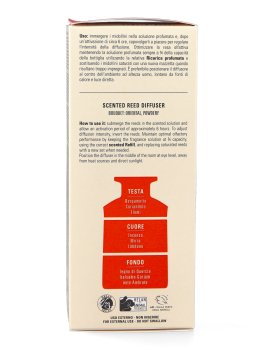 Diffusore per Ambiente con Bastoncini - Ambra e Incenso - 8