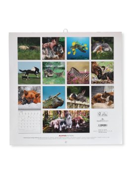 Amicizie Animali - Calendario 2026 — Calendario - 3