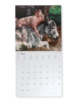 Amicizie Animali - Calendario 2026 — Calendario - 2