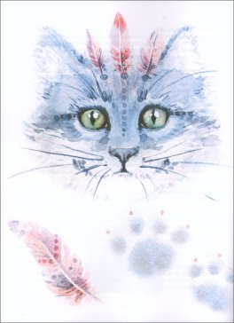 Amico Gatto — Libro - 3