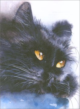 Amico Gatto — Libro - 4