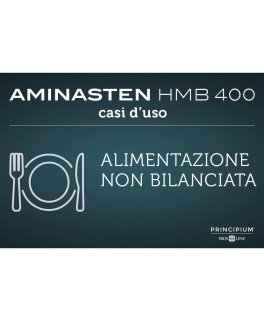 Aminasten HMB 400 - Principium® - 7