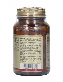 Amino Arginina 500 - 3