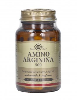 Amino Arginina 500 - 1