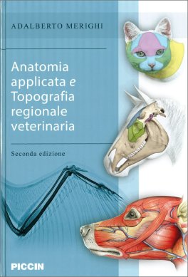Anatomia Applicata e Topografia Regionale Veterinaria — Libro - 1