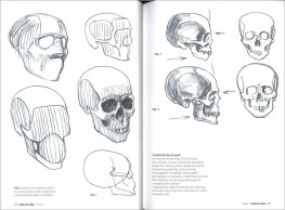 Anatomia Artistica — Libro - 3